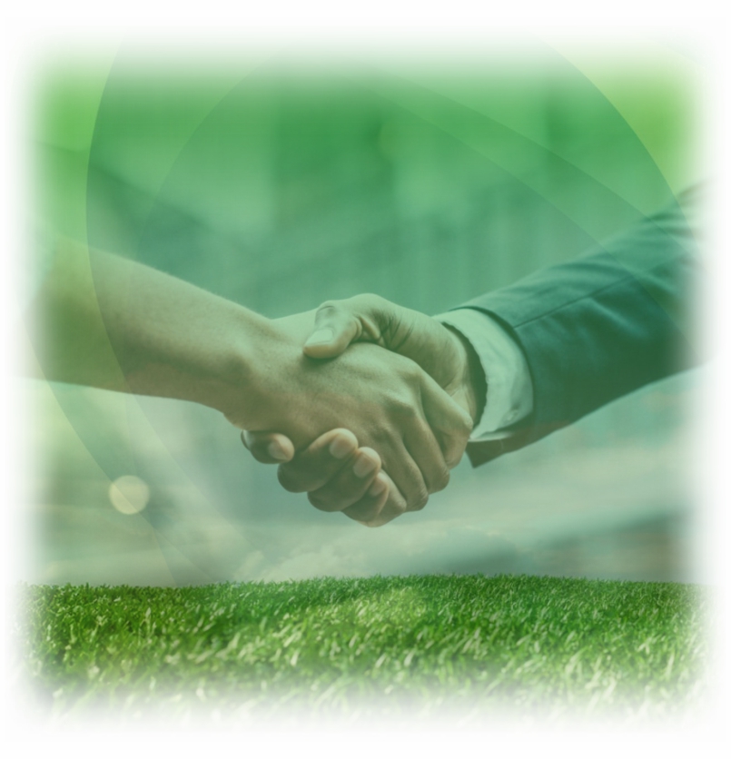 Smark Chemicals International